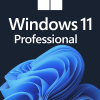 Microsoft Windows 11 Professional